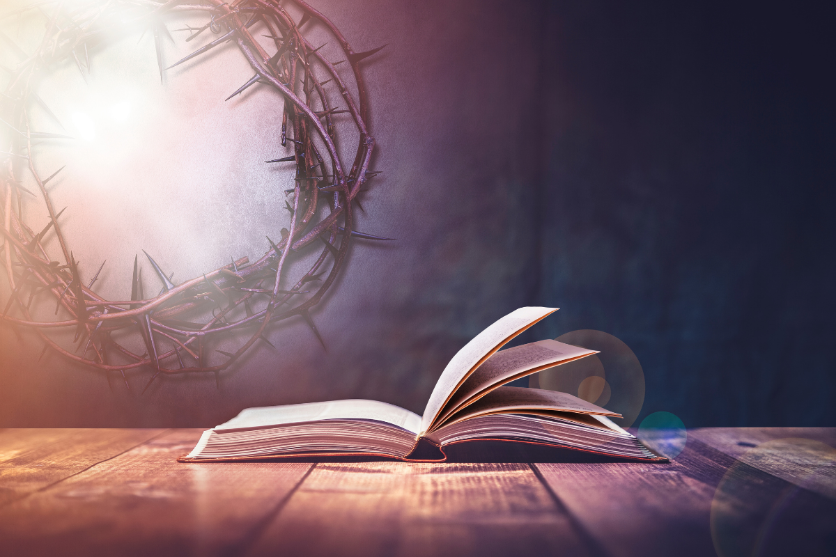 blog napoved za leto