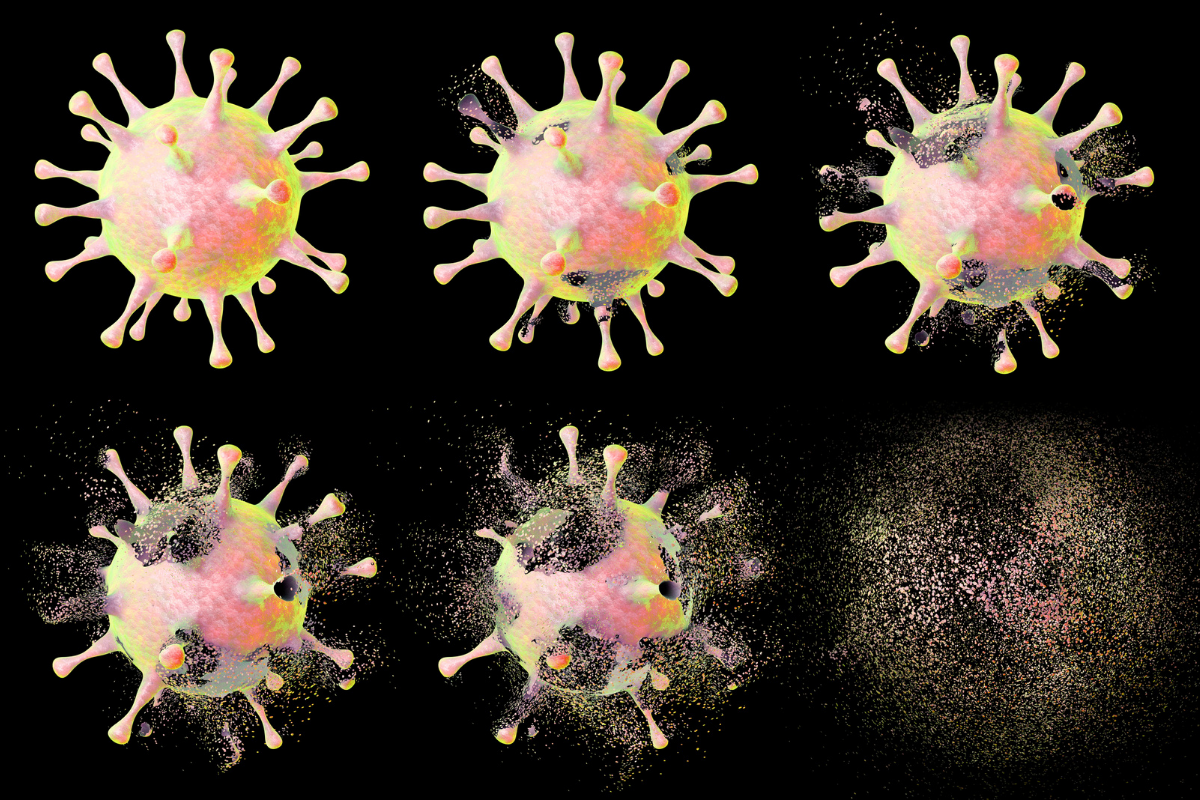 blog napoved za leto