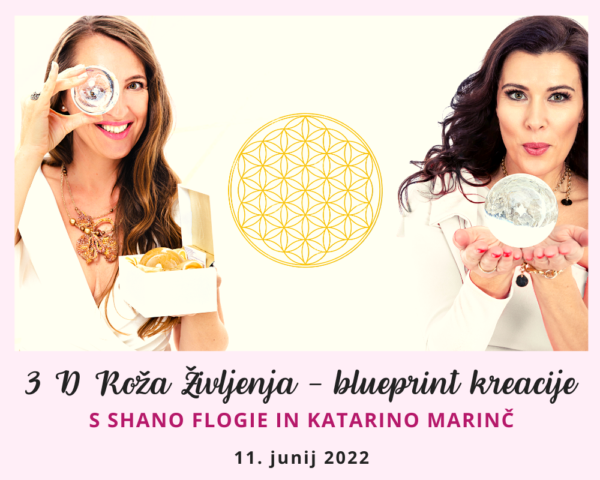 banarji spletni tečaji