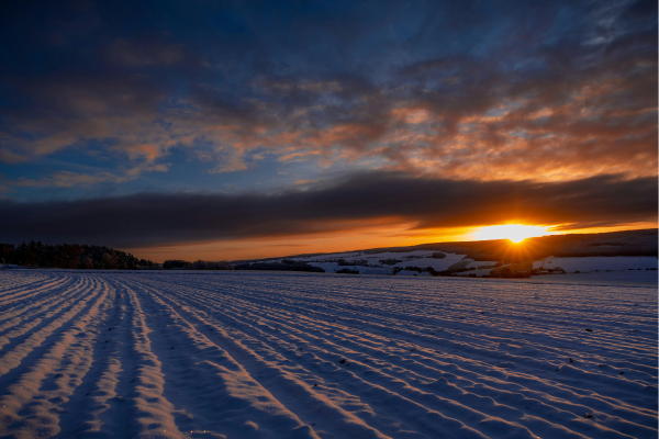 Napoved-januar-2026-1